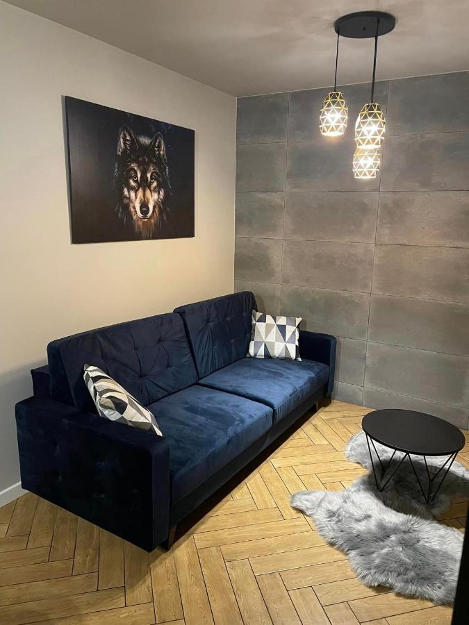 Apartmán Szary Wilk - Klimatyczne Dla 2 Osob - Blisko Centrum -bezplatny Parking